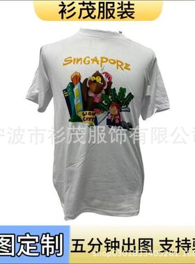 新加坡选举衫广告衫文化衫定 制总统速干竞选投票一次性量大广告