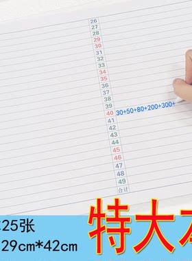 A3特大1-49表格彩色记账本