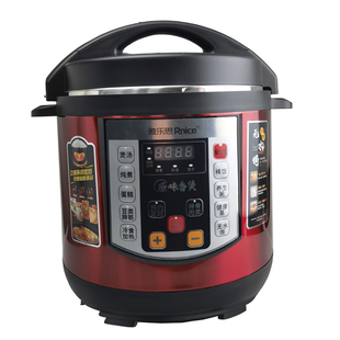 02G Rileosip Y6B 100 雅乐思 6L微电脑电压力锅YBW60