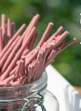 再吃一颗酸梅条青梅条舌尖在颤抖鲜酸耐吃网红梅类制品净含量70g