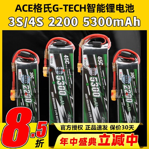 格氏电池Gtech智能充锂电池3S4S