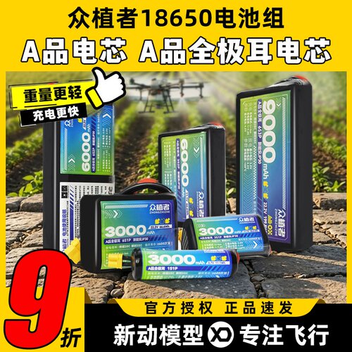 众植者18650电池组JP30A品电芯
