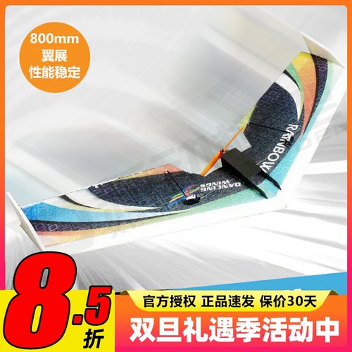 DWhobby电动遥控800mm彩虹飞翼