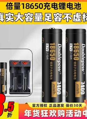 倍量18650锂电池充电器大容量航模遥控器迈克TX16STX12控电T3.7V