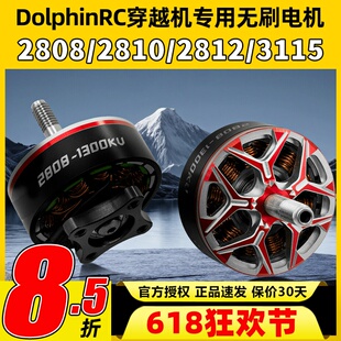 DolphinRC无刷电机2808 2810负载马达2812 3115穿越机专用电机6S