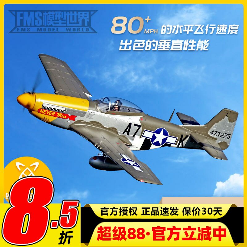 FMS野马P-51D二战经典飞机像真图片
