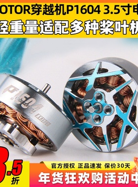 TMOTOR无刷电机P1604竞速马达穿越机FPV航拍暴力赛级3寸3.5桨花飞