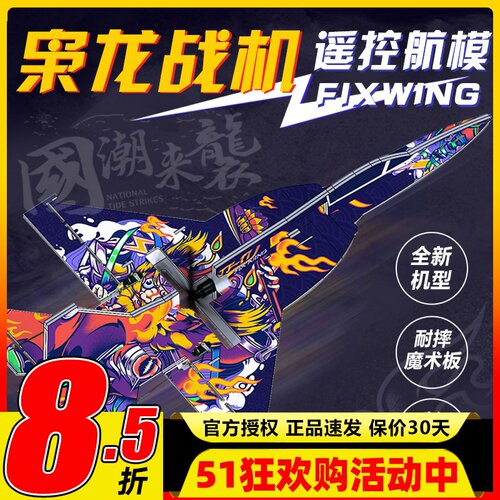 枭龙战机模型遥控泡沫固定翼