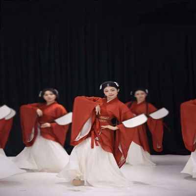 古典舞蹈女魏晋大袖交领红色古装