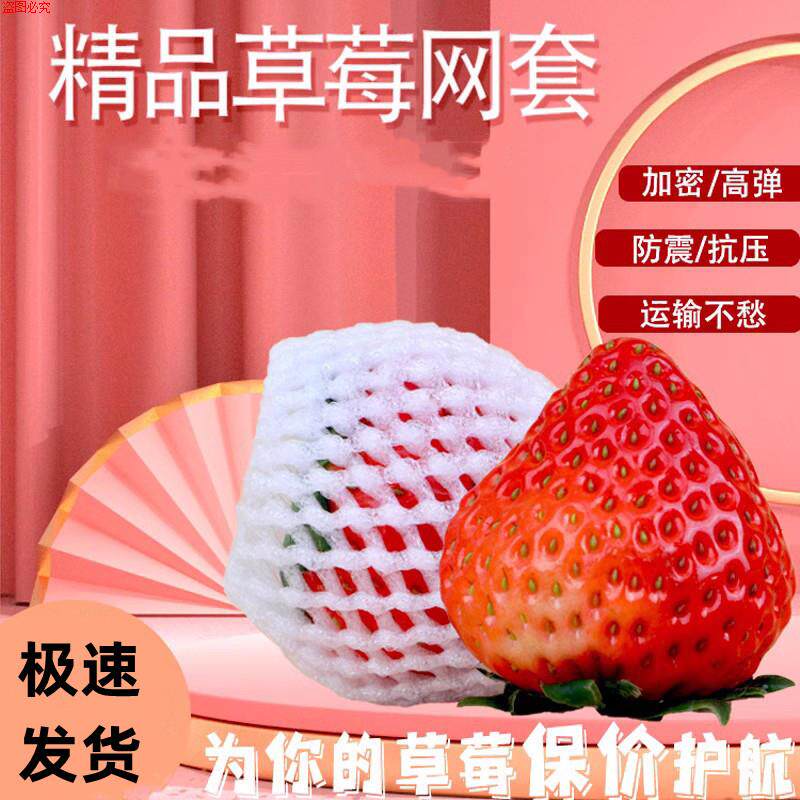 保护草莓泡沫网套包装杏枇杷小网套网兜发泡网袋水果防震网套