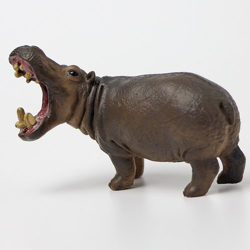 实心仿真野生动物静态塑料玩具模型益智早教河马摆件宝宝收藏礼物