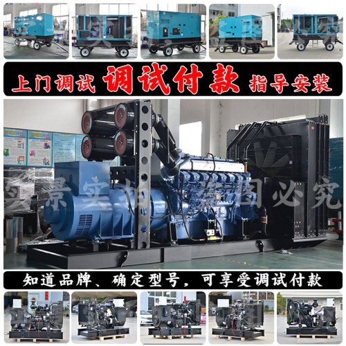 800KW发电机组 10500V高压 1000KVA 980KW三菱S12H-PTA