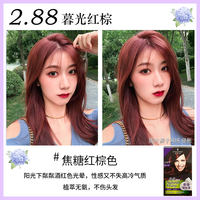 Schwarzom hair dye, Yiran Hair Dye, Mousse Bubble Hair Dye, Women's Dark Purple, Mulberry vine Purple, dye at home by yourself thumbnail 8
