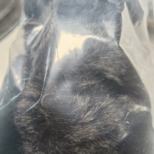 包邮 059卡7吊孔毛球兔兔黑色一个 9.9元