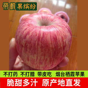 纯天然 山东烟台栖霞红富士大苹果水果85新鲜10斤一箱超大当季 吃