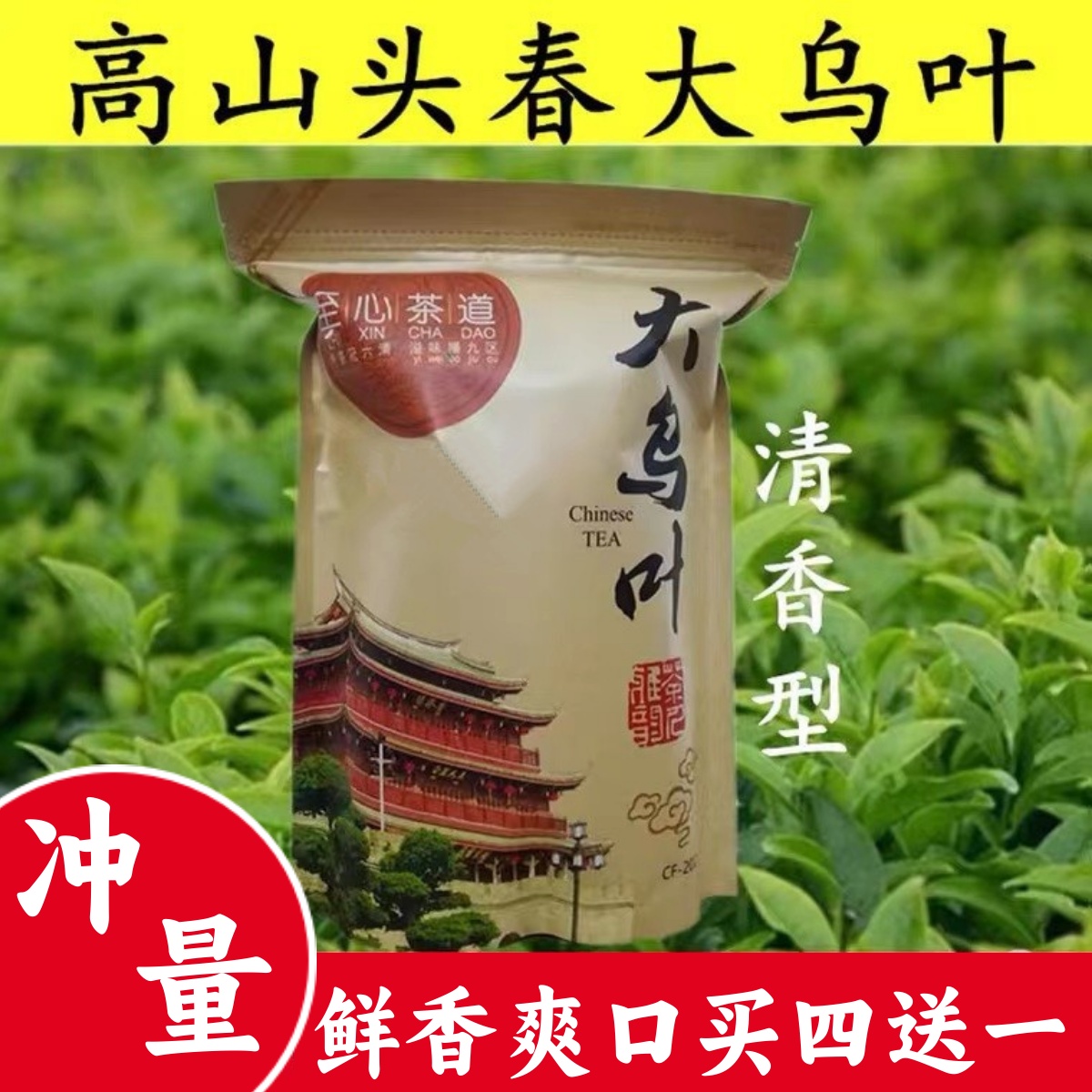鸭屎香清香型凤凰单丛乌龙茶茶头
