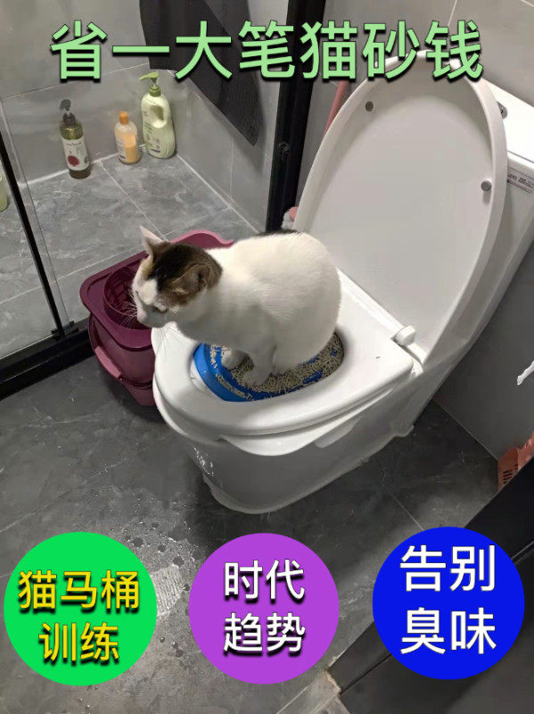 猫咪马桶上厕所训练器便盆坐便器蹲坑教猫用蹲便蹲厕如厕学习引导