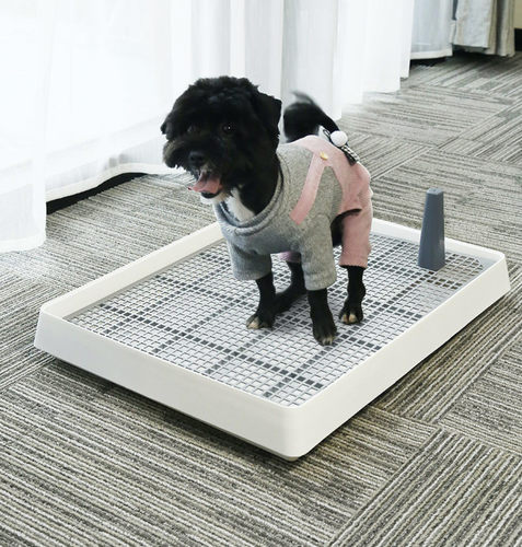 大号狗厕所泰迪博美比熊清洁用品