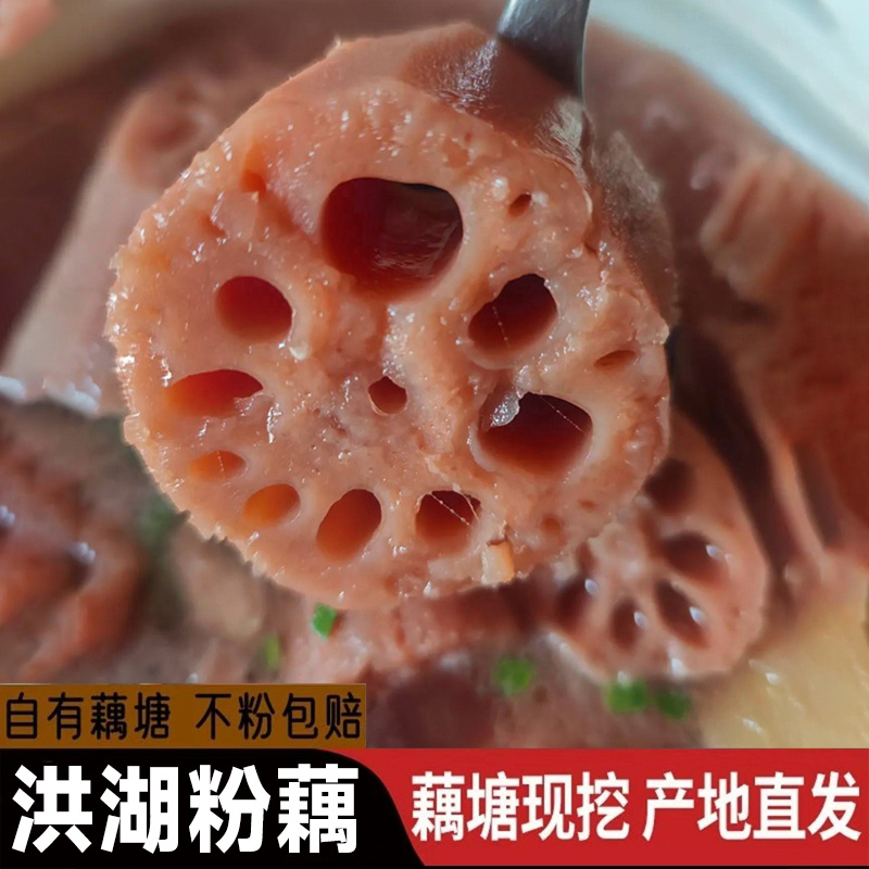 洪湖煲汤粉藕莲藕现挖现发