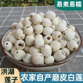 洪湖磨皮莲子干货去芯莲500克湖北特产磨皮去芯白莲红莲子通芯莲