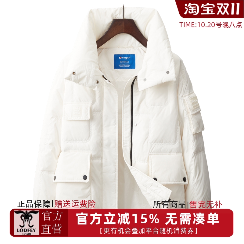 DIMALEGEND新款女士时尚短款可翻高领加厚保暖羽绒服F22512008