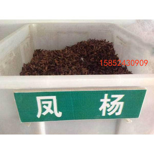 枫杨种子 白杨 大叶柳 大叶头杨树 水麻柳 枫杨树种子 枰柳树种子