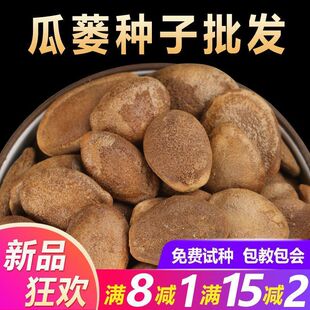 材瓜蒌种籽瓜蒌子种子新货吊瓜栝楼天花粉种籽四季种植苗种孑