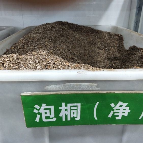 泡桐种子 白花泡桐 大果泡桐 空桐木 水桐 桐木树 紫花树毛图片