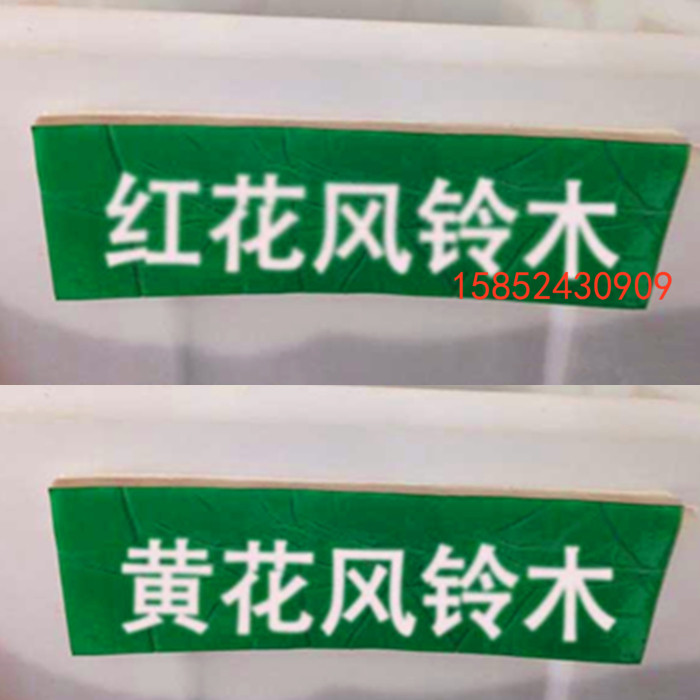 新采风铃木种子 红花风铃木 黄花风铃木 绿化行道花卉树种子包邮