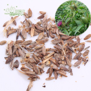 中药材种子药草种子 白术种子 本店有众多中药材种子