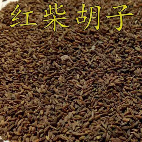 新红柴胡种子黑柴胡种子北柴胡种子甘肃柴胡种子狭叶柴胡包邮