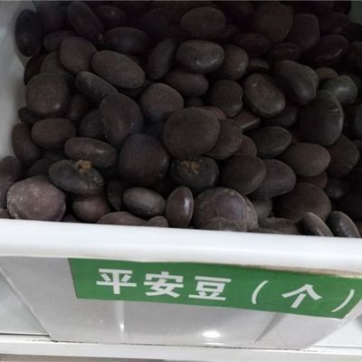 平安豆菩提子龙豆罗汉豆散珠子原籽植物种子九龙藤种子材
