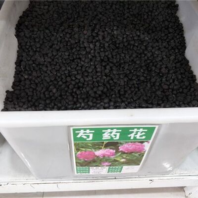 赤芍种子材芍药种子赤芍籽 白芍种子红药种籽 白芍药种苗
