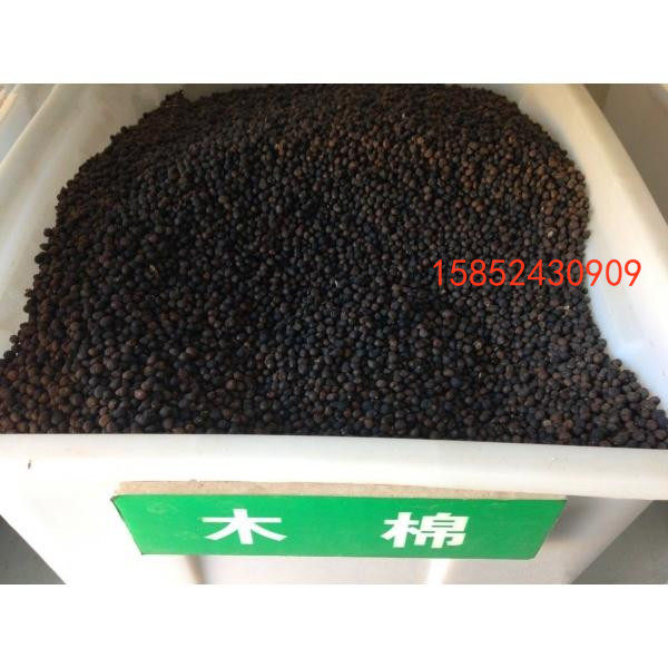 木棉种子 新采 木棉花种子 红花 英雄树 林木种子 苗木种子包邮