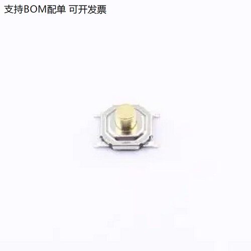 BTS0C52GM铜头轻便开关5