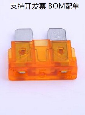 9C.5000302ZK2G(中型) 汽车保险丝 32V刀片式保险丝 -