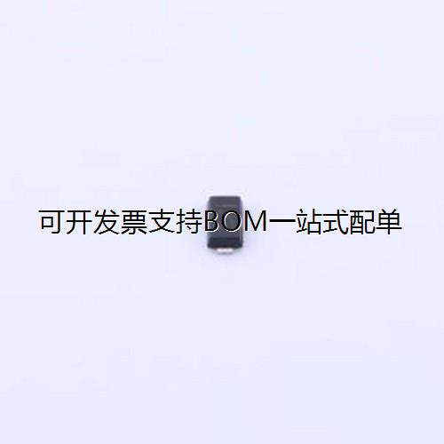 MSE1PGHM3/89A静电和浪