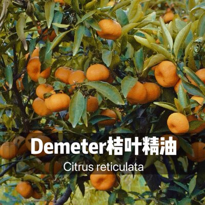 Demeter 埃及 德米特桔叶 橘叶精油 超强安抚 有机 抗病毒