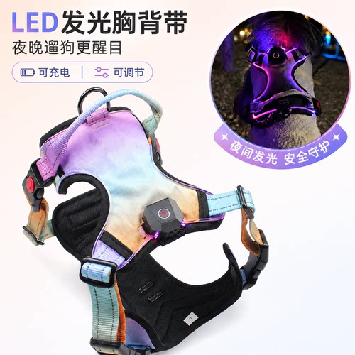 LED发光夜间遛狗牵引胸背带渐变
