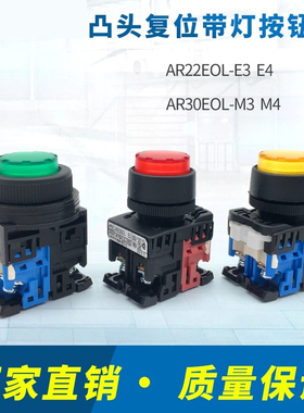 AR22E5L AR22E0L-114R  凸头带 AR30E0L-11E3G AR30E5L EO