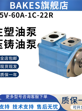 BAKES叶片泵油泵45V-42A/45A/50A/60A-1A/1B/1C/1D-22R叶片泵