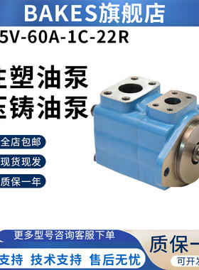 BAKES叶片泵油泵45V-42A/45A/50A/60A-1A/1B/1C/1D-22R叶片泵