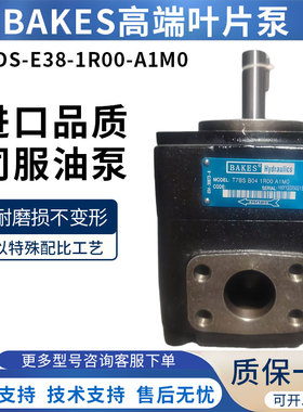 BAKES进口高压伺服泵T7DS-E38-1R00-A1压铸机注塑机液压泵叶片泵