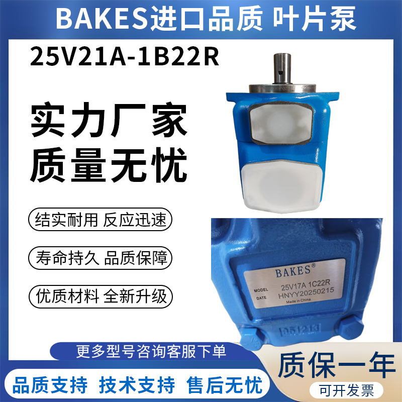 BAKES高端进口品质叶片泵25V14/25V17A-1 25V21A-1C 1B 22R油泵