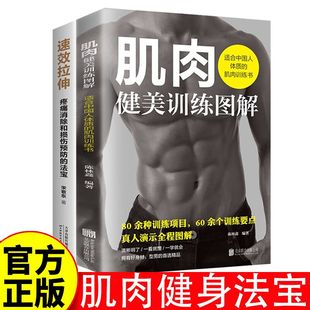速效拉伸肌肉健美训练图解德拉威尔肌力量运动解剖学图谱健身书籍书籍系列国学9岁获奖名家漫画中国11岁彩图版注音珍藏辑青少年
