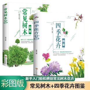 4册常见树木图鉴+四季花卉图鉴+野菜野果图鉴+叶子图鉴新手入门轻松辨别常见树木花卉8岁少年科学经典书籍9岁动漫辑书系正版