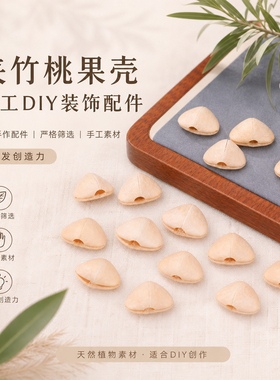 夹竹桃果壳散装干果壳手工diy风