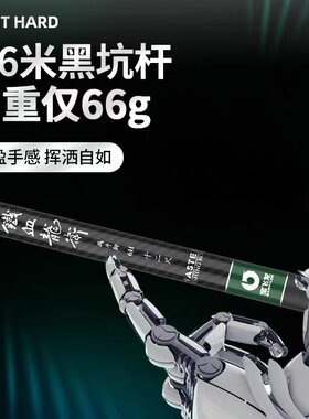 鲫鲤鱼鱼竿超轻超硬宝飞龙