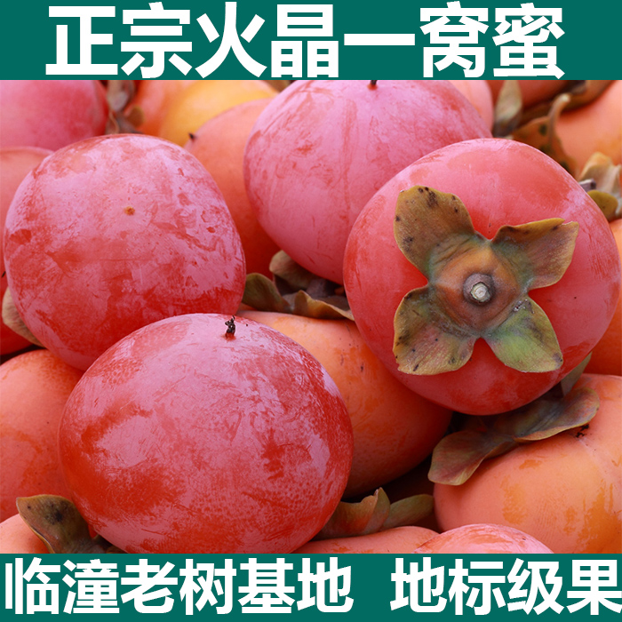 火晶柿子西安临潼野生采摘新鲜