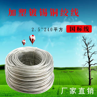 加塑镀锡铜绞线6平方国标紫铜软线桥架接地线透明护套裸铜导电带